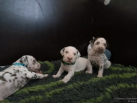 IMG_20250122_133922_web