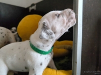 IMG_20250122_134025_web