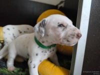 IMG_20250122_134027_web