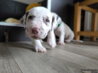 IMG_20250122_134050_web