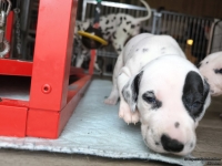 IMG_20250122_134118_web