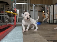 IMG_20250122_134130_web