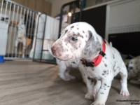 IMG_20250122_134144_web