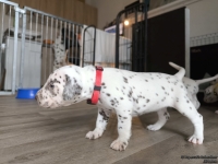 IMG_20250122_134147_web