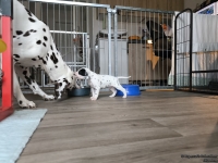 IMG_20250122_134200_web