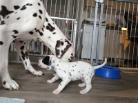 IMG_20250122_134202_web