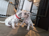 IMG_20250122_134219_web