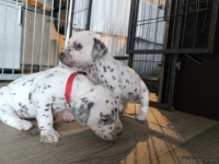 IMG_20250122_134220_web