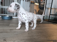 IMG_20250122_134230_web