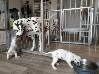 IMG_20250122_134250_web