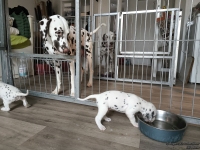 IMG_20250122_134251_web