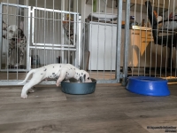 IMG_20250122_134258_web