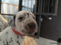 IMG_20250122_134311_web