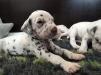 IMG_20250122_134348_web