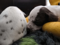 IMG_20250122_134358_web