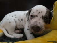 IMG_20250122_134440_web