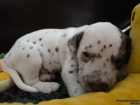 IMG_20250122_134441_web