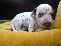 IMG_20250122_134447_web