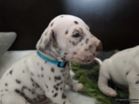 IMG_20250122_134504_web