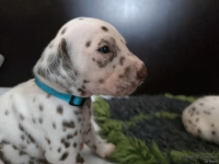 IMG_20250122_134506_web