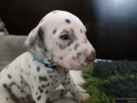 IMG_20250122_134511_web