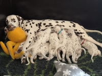 IMG_20250123_121140_web