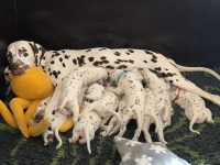 IMG_20250123_121150_web