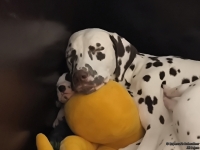 IMG_20250123_121158_web