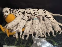 IMG_20250123_121230_web