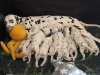 IMG_20250123_121234_web