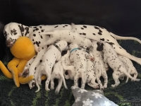 IMG_20250123_121237_web