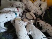 IMG_20250123_122840_web