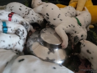 IMG_20250123_122842_web