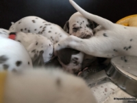 IMG_20250123_122855_web