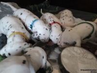 IMG_20250123_122909_web