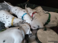 IMG_20250123_122911_web