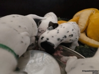 IMG_20250123_122917_web