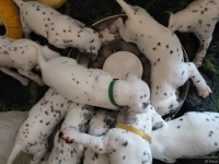 IMG_20250123_122921_web