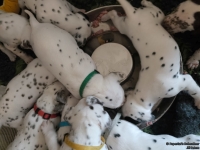 IMG_20250123_122923_web