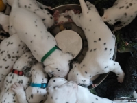 IMG_20250123_122924_web