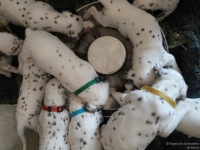 IMG_20250123_122927_web