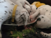 IMG_20250123_122941_web