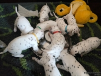 IMG_20250123_123029_web