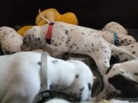 IMG_20250123_123032_web