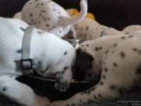 IMG_20250123_123034_web