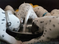 IMG_20250123_123035_web