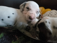 IMG_20250123_123047_web