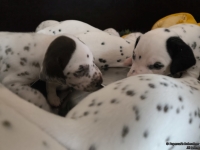 IMG_20250123_123119_web