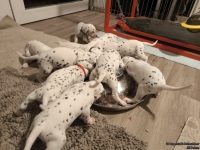 IMG_20250124_180339_web