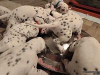 IMG_20250124_180346_web